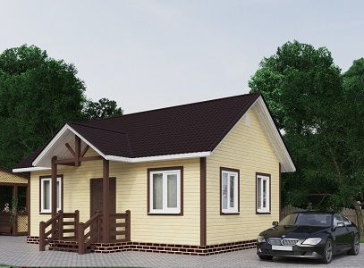Купить дом 8 на 8 в Скопине цена от 840376 руб